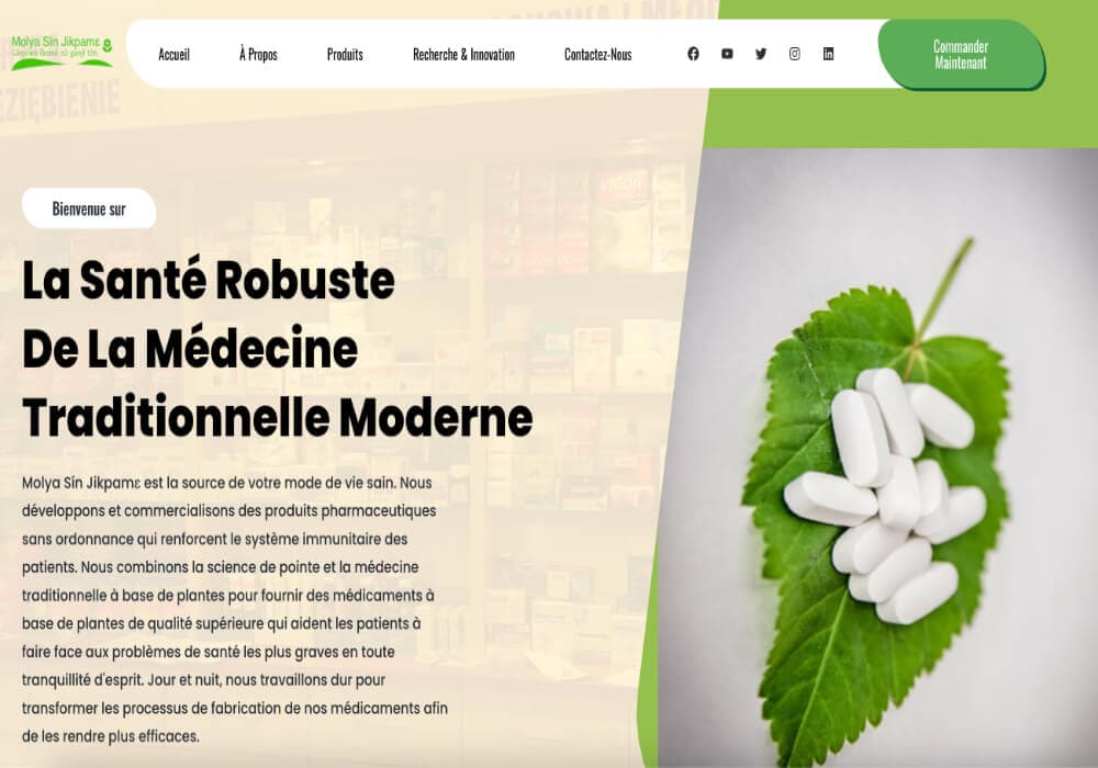 Développement Wordpress WooCommerce